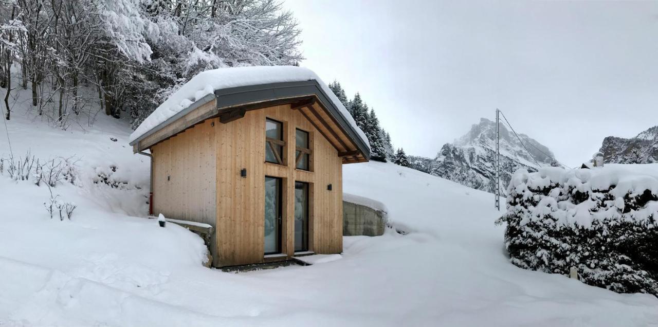 Chalet*** Au Pied D'Une Prairie Face A La Montagne Sixt Kültér fotó