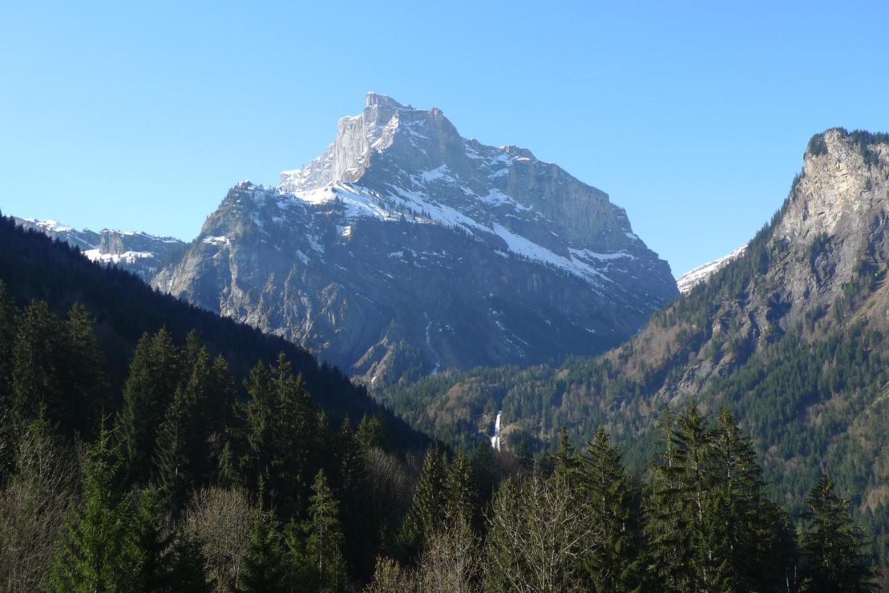 Chalet*** Au Pied D'Une Prairie Face A La Montagne Sixt Kültér fotó