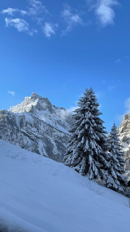 Chalet*** Au Pied D'Une Prairie Face A La Montagne Sixt Kültér fotó