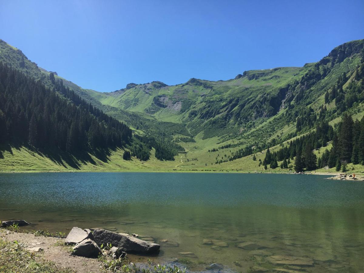 Chalet*** Au Pied D'Une Prairie Face A La Montagne Sixt Kültér fotó