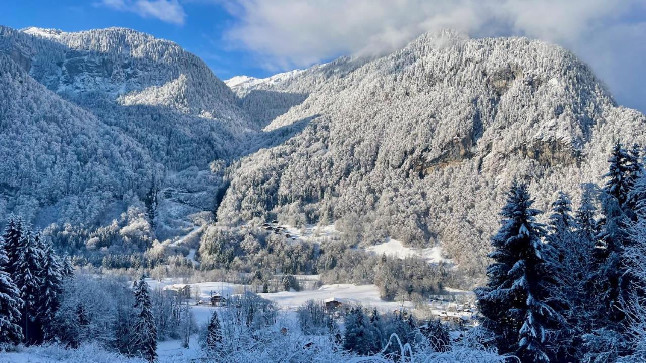 Chalet*** Au Pied D'Une Prairie Face A La Montagne Sixt Kültér fotó