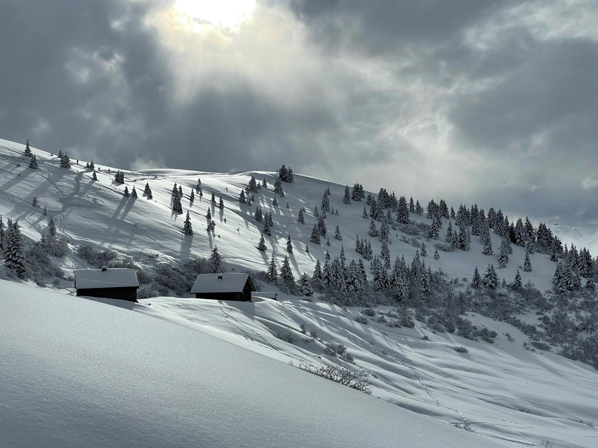 Chalet*** Au Pied D'Une Prairie Face A La Montagne Sixt Kültér fotó